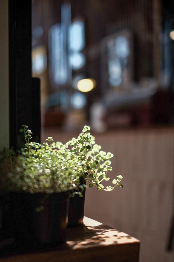 Hotel & Cafe Bauda カストロ エクステリア 写真